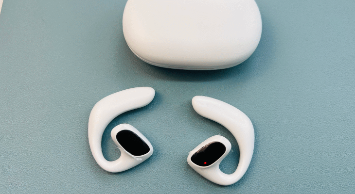 Talkbuds Fakten 3
